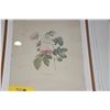 Image 2 : FRAMED ETCHINGS, ROSES BY FRANCOIS LANGLOIS (16 1/2" X 21 1/4" (2 PCS)