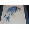 Image 2 : UNFRAMED BLUE MACAW PARROT PICTURE (16" X 19")