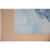 Image 3 : FRAMED PRINT (31" X 26")
