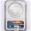 Image 2 : 2015-W American 1oz Silver Eagle NGC PF70 UC