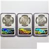 Image 2 : 1884-O Set [3] Morgan Silver Dollar NGC MS63