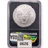 Image 2 : 2020-W Burnished American Silver Eagle NGC MS70