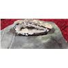 Image 11 : SHELL FOSSIL/ CRYSTAL ROCKS PLUS MISC.