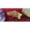 Image 3 : SHELL FOSSIL/ CRYSTAL ROCKS PLUS MISC.