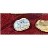 Image 8 : SHELL FOSSIL/ CRYSTAL ROCKS PLUS MISC.