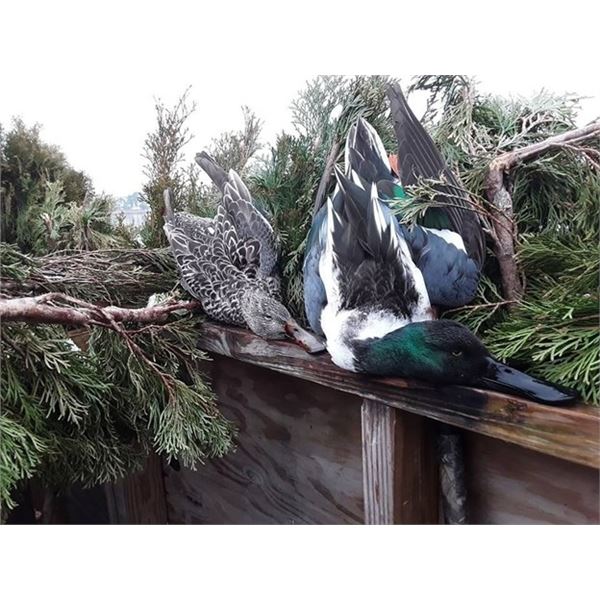 2-Day Maryland’s Eastern Shore Waterfowl Hunt