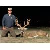 Image 1 : 3-Day Texas Whitetail Deer Hunt for 1 Hunter