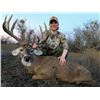 Image 2 : 3-Day Texas Whitetail Deer Hunt for 1 Hunter