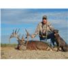 Image 3 : 3-Day Texas Whitetail Deer Hunt for 1 Hunter