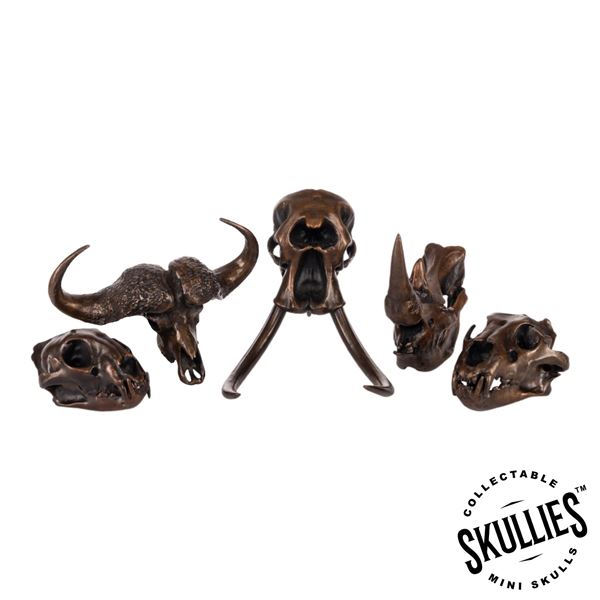 African Big 5 Bronze Skulls