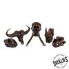 Image 1 : African Big 5 Bronze Skulls