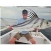 Image 1 : 4-Day Mexico Fish Slamming Safari for 1 Angler