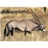 Image 1 : 5-Day Namibia 2 Gemsbok and 2 Springbuck Hunt for 2 Hunters