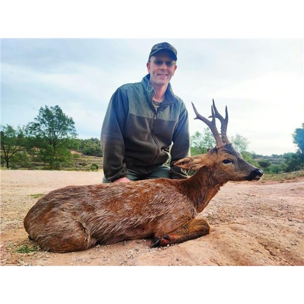 4-day Spain Hunt for Roe Deer for 1 Hunter and 1 Observer