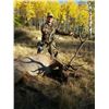 Image 1 : 5-day New Mexico Hunter’s Choice for Elk, Mule Deer or Coues’s Whitetail Deer for 1 Hunter