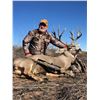 Image 2 : 5-day New Mexico Hunter’s Choice for Elk, Mule Deer or Coues’s Whitetail Deer for 1 Hunter