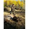 Image 4 : 5-day New Mexico Hunter’s Choice for Elk, Mule Deer or Coues’s Whitetail Deer for 1 Hunter