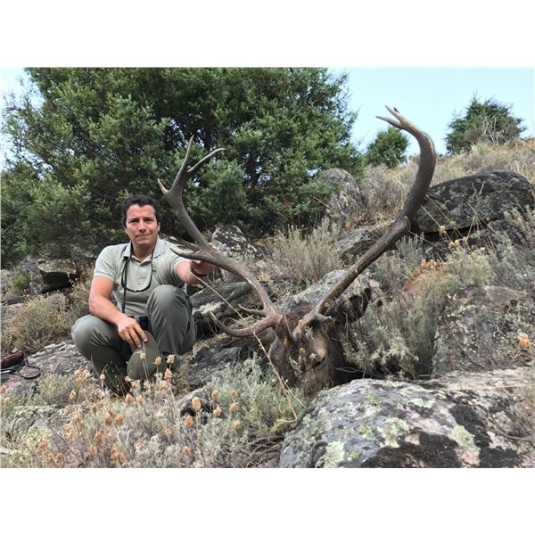 3-day Spain Hunt for 1 Gredos Red Deer and 1 Fallow Deer for 1 Hunter