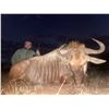 Image 3 : 10-Day South Africa Hook, Wing and Barrell Safari for 2 Hunters & 2 Observers