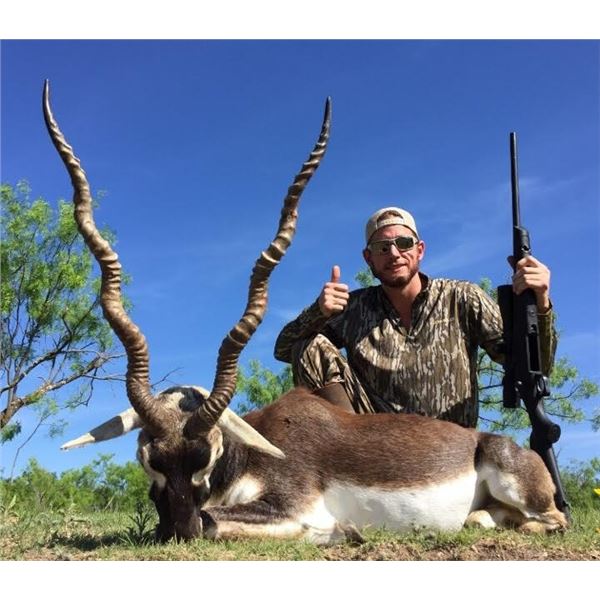 3-Day Texas Blackbuck or Mouflon Hunt for 2 Hunters