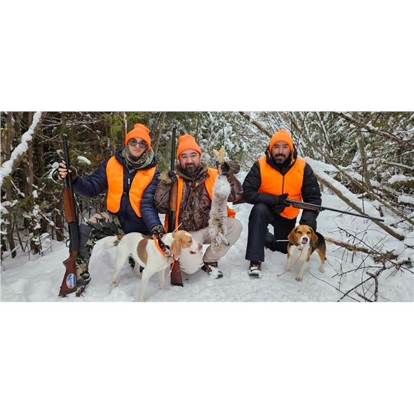 Maine Snowshoe Hare Hunt for 2