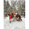 Image 2 : Maine Snowshoe Hare Hunt for 2