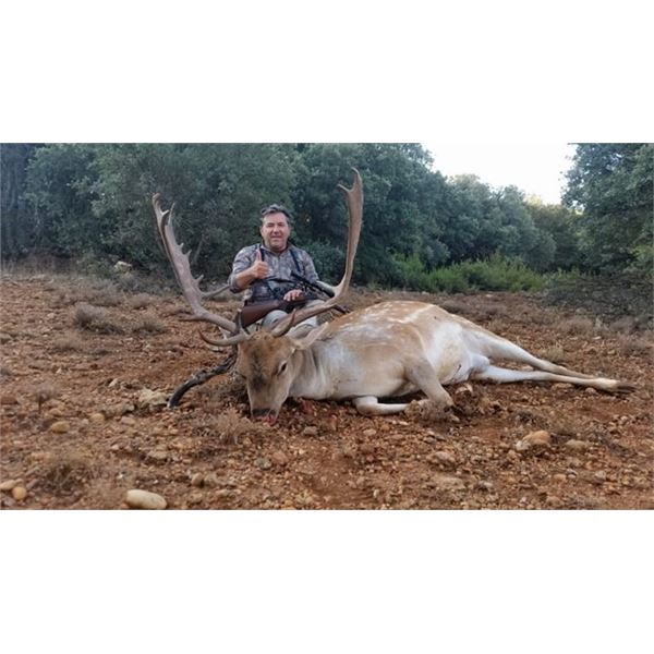 4-day Spain Hunter’s Choice Pyrenean Fallow Deer/Roedeer/Chamois Hunt and Barcelona Tour for 1 Hunte