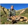 Image 2 : 4-day Spain Hunter’s Choice Pyrenean Fallow Deer/Roedeer/Chamois Hunt and Barcelona Tour for 1 Hunte