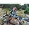 Image 8 : 4-day Spain Hunter’s Choice Pyrenean Fallow Deer/Roedeer/Chamois Hunt and Barcelona Tour for 1 Hunte