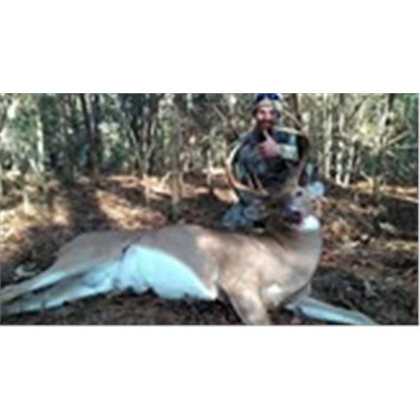3-Day North Carolina Four Whitetail Deer Hunt for 1 Hunter