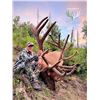 Image 1 : 2024 Arizona Special Commissioners Elk Tag, 365 days to hunt