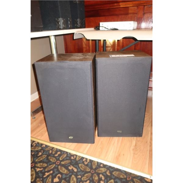 LOT DE 2 HAUT-PARLEURS 13"x23"