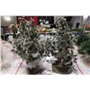 Image 1 : LOT DE 4pcs ARBRE DE NOËL DANS POTS 31"