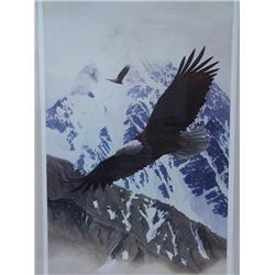 38" x 25 1/2" matte size Charles Gause Print Eagle Soaring 232/300 (71)