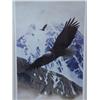 Image 1 : 38" x 25 1/2" matte size Charles Gause Print Eagle Soaring 232/300 (71)