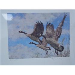 2 Duck Stamp Prints, 1986 Montana Waterfowl by Joe Thornbrugh with Duck Stamp  3,797/9,212 (71)