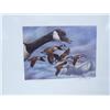 Image 2 : 2 Duck Stamp Prints, 1986 Montana Waterfowl by Joe Thornbrugh with Duck Stamp  3,797/9,212 (71)