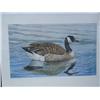 Image 1 : 2 Duck Pictures and 1 Photo:  Loons 1992 by Lisa Van Sweden-Cross, Canadian Goose by J. Carson and P