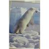 Image 3 : Lot of 3 Polar Bear Photos:  Mother and Babies, Up Close and Personal, and "Hey! What are you doing,