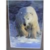 Image 4 : Lot of 3 Polar Bear Photos:  Polar Bear after Dinner, Mother and two Babies, and Polar Bear on Ice (