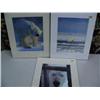 Image 1 : Lot of 3 Polar Bear Photos: Polar Bear Walking, Polar Bear Going after Seal, and Polar Bear Looking 