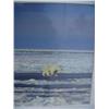 Image 3 : Lot of 3 Polar Bear Photos: Polar Bear Walking, Polar Bear Going after Seal, and Polar Bear Looking 