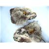 Image 1 : Pair of Wolf Faced Mittens with Beaver Trim by Flora Wassile (1)