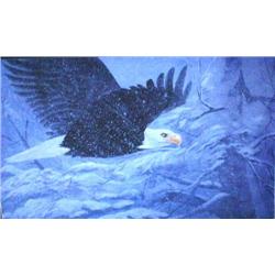 Print signed and numbered 18/200, Flying Eagle in Snowstorm by P.B. Doosuntia   Frame Size 20" x 27"
