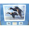 Image 10 : Complete Collection of 19 Alaska Medallion Issue Duck Stamp Prints, Matted and Framed from 1985 to 2