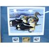 Image 13 : Complete Collection of 19 Alaska Medallion Issue Duck Stamp Prints, Matted and Framed from 1985 to 2
