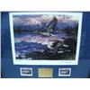 Image 1 : Complete Collection of 19 Alaska Medallion Issue Duck Stamp Prints, Matted and Framed from 1985 to 2