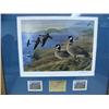Image 5 : Complete Collection of 19 Alaska Medallion Issue Duck Stamp Prints, Matted and Framed from 1985 to 2
