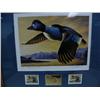 Image 8 : Complete Collection of 19 Alaska Medallion Issue Duck Stamp Prints, Matted and Framed from 1985 to 2