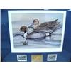 Image 9 : Complete Collection of 19 Alaska Medallion Issue Duck Stamp Prints, Matted and Framed from 1985 to 2